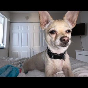 Meet your Posher, Alejandro